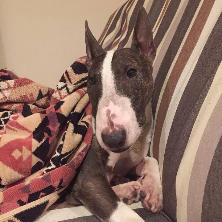 C59bb6ac 9019 4b37 9fa9 a52f96fff677