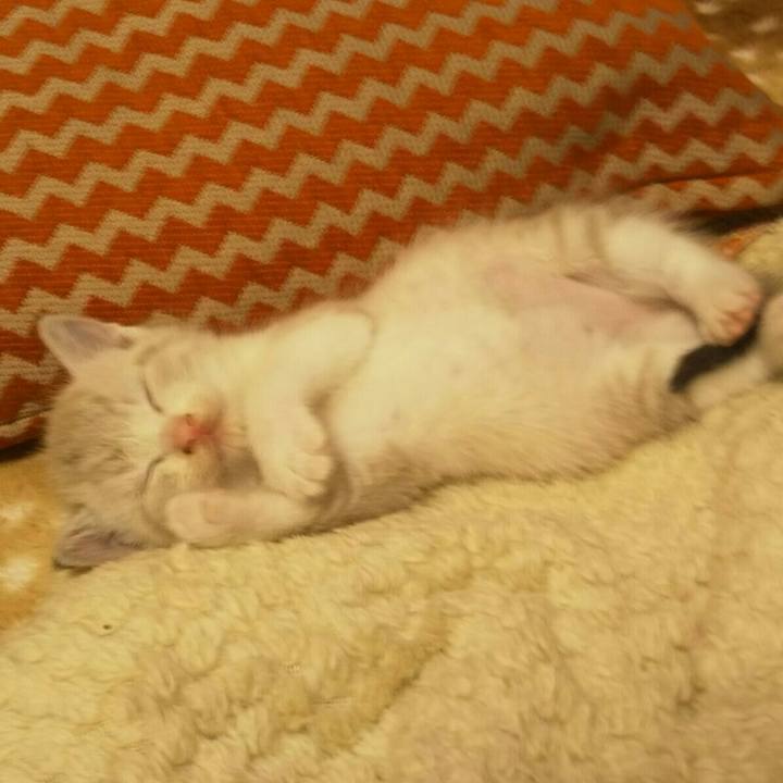 C59cf9cd 9e8a 4ff7 85c4 7ac01111e789