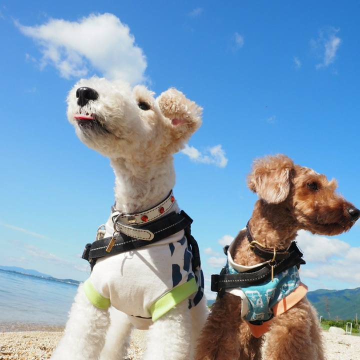 C59d10cc 9b3e 4456 a75a 414b9c8bfeaf