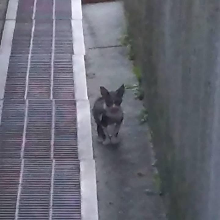 C59e08f1 cd6b 4e05 b6c0 27bbf4881de5