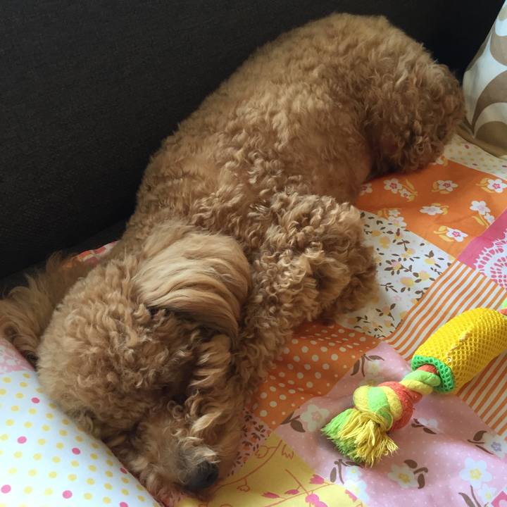 C59e92c6 1cf4 4c51 a38a 4788e369e720