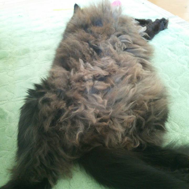 C59ebd5a b625 4765 9e72 e749521ff7c9