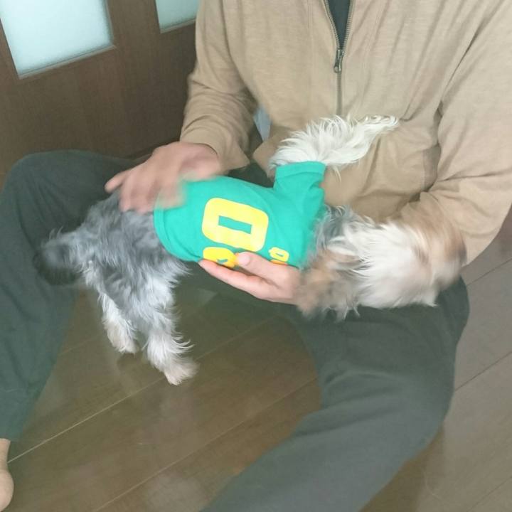 C59ec9ce a666 45e4 868c 345710bc8d5b