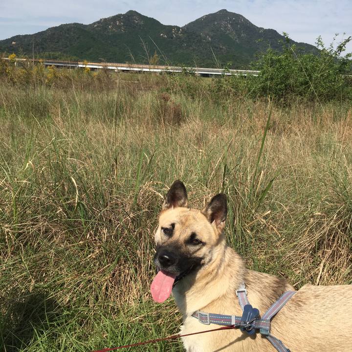 C5a01fbc 1142 40b1 b46b 3dd23f55cf03