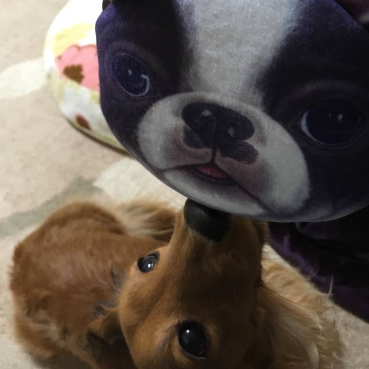 C5a02653 f1da 4d37 a279 8eb07305e56b