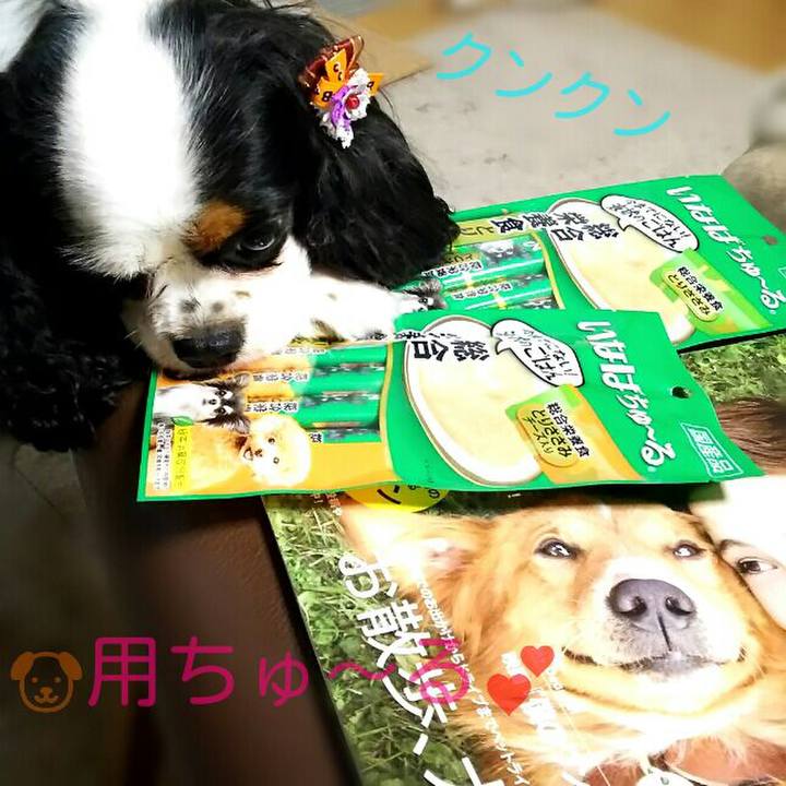 C5a11087 3aa1 47c4 a17e a39b60c60fdd