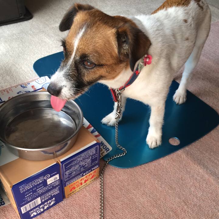 C5a1d573 329b 4598 af06 edbdc367bc3c