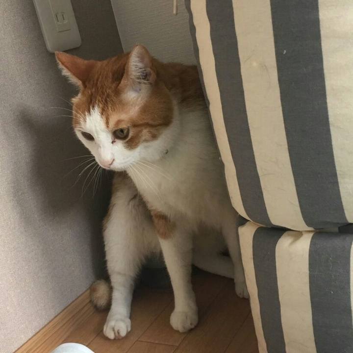 C5a1d935 1eac 48ae b941 b26ef0a0e1e4