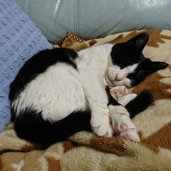 C5a1efee ccce 4cc5 9823 aabc592756ac