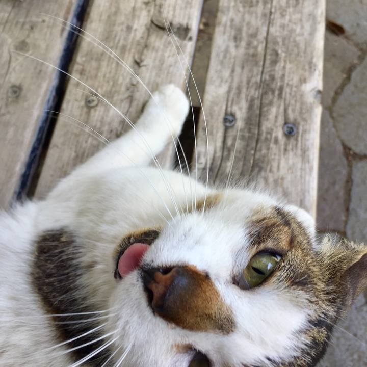 C5a2b4d4 5dce 439f 871b 2bd7c5361725