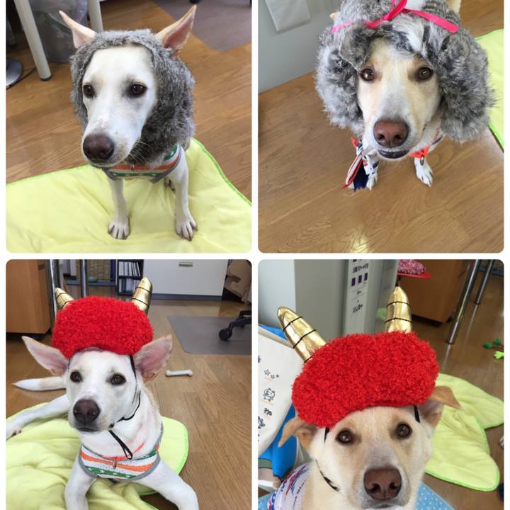 C5a2ff63 de26 4611 86ce 55796b50ca0b