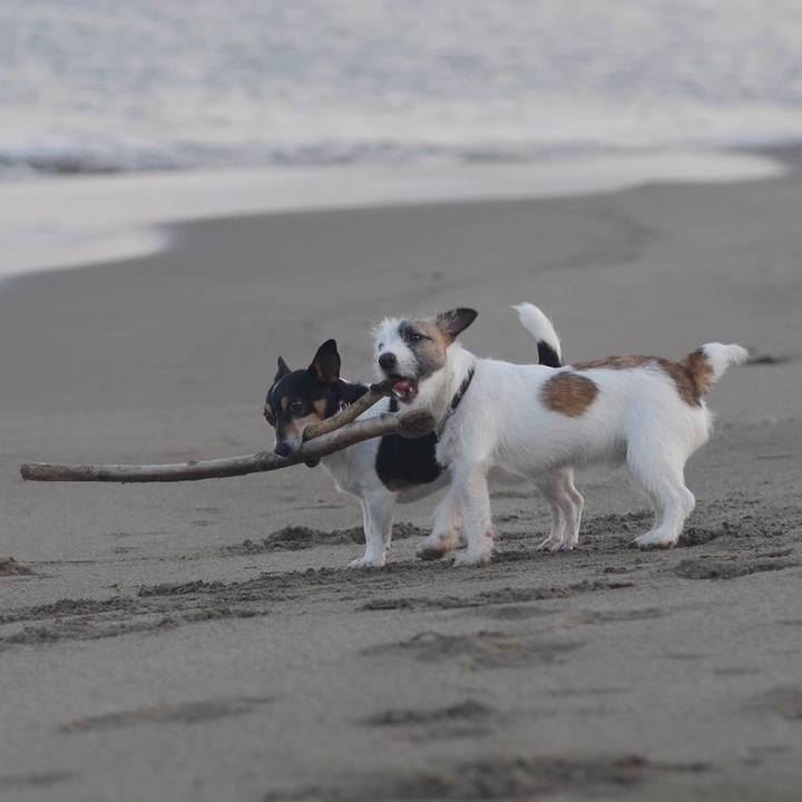 C5a51375 82b3 413b b130 8a260ebc29dd