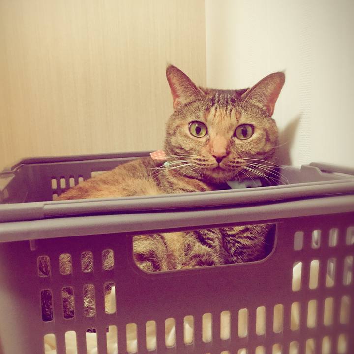 C5a56d3d 49ab 4625 b697 58760bd9313f