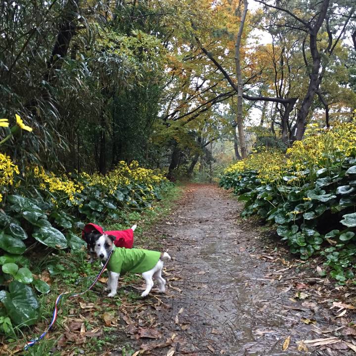 C5a66f42 b189 4b02 8cb5 c40ce9b80adf