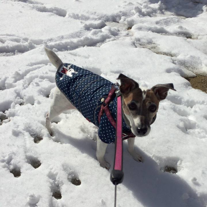 C5a705ab a34b 41bb b347 bc1a34358569