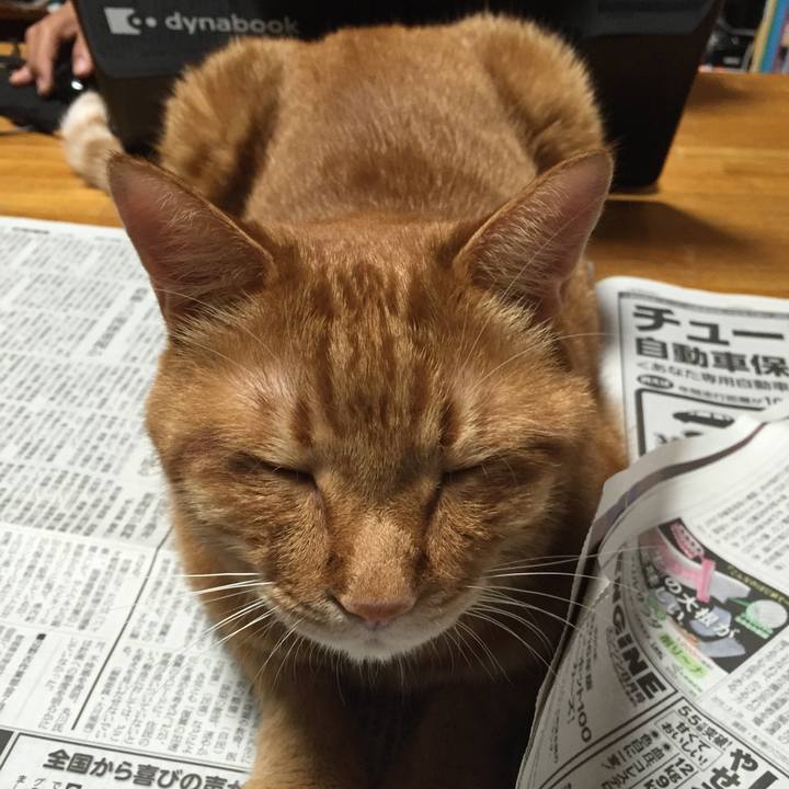 C5a73952 26a9 49b3 a5fc fb6db780c330