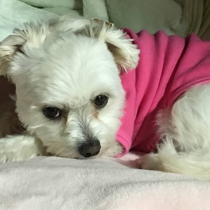 C5a74576 effd 4f44 978a 302208db623d