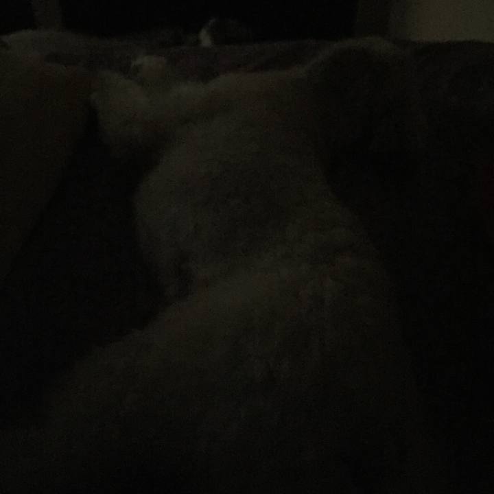 C5a8cab6 5aa5 40ae 9e5c 4bb8fbf7bc5b