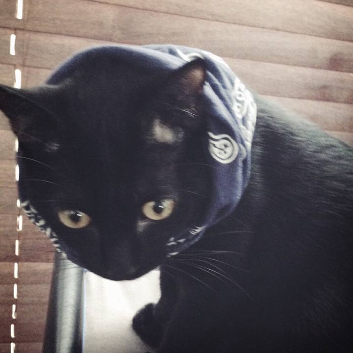 C5a8d314 4ff4 475c 89db d689d85143e4