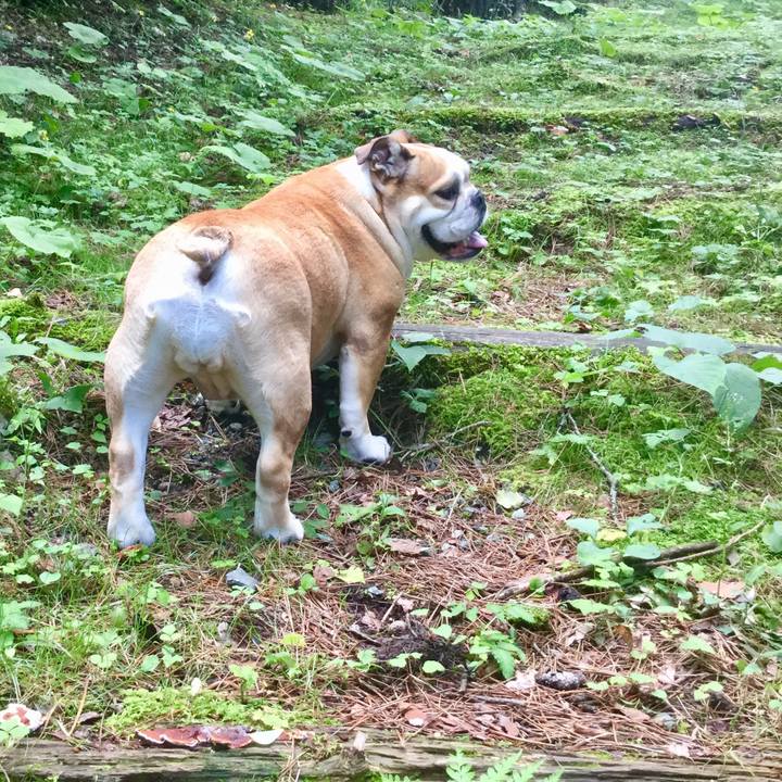 C5a95f1c bb46 4a68 97a1 1b9f9fa101bb