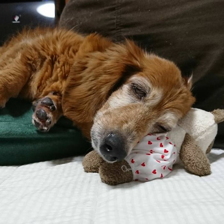 C5a9c761 eb71 4d14 be22 bdd8b5f8f4bf