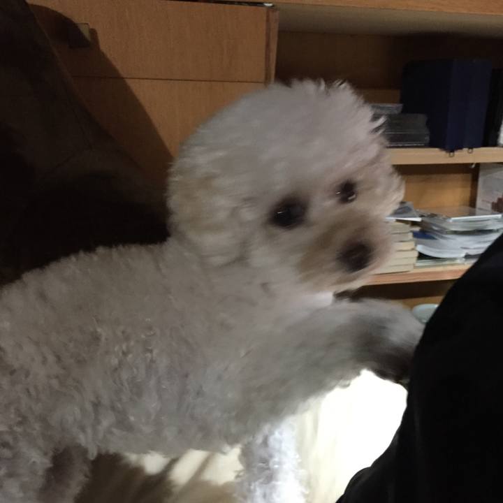 C5a9de8d 1f0c 4274 8b35 758d69a91fa4