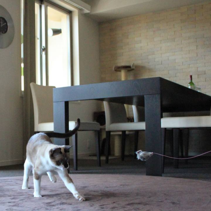 C5a9ea31 e3c0 416d a186 5920c4e540ac