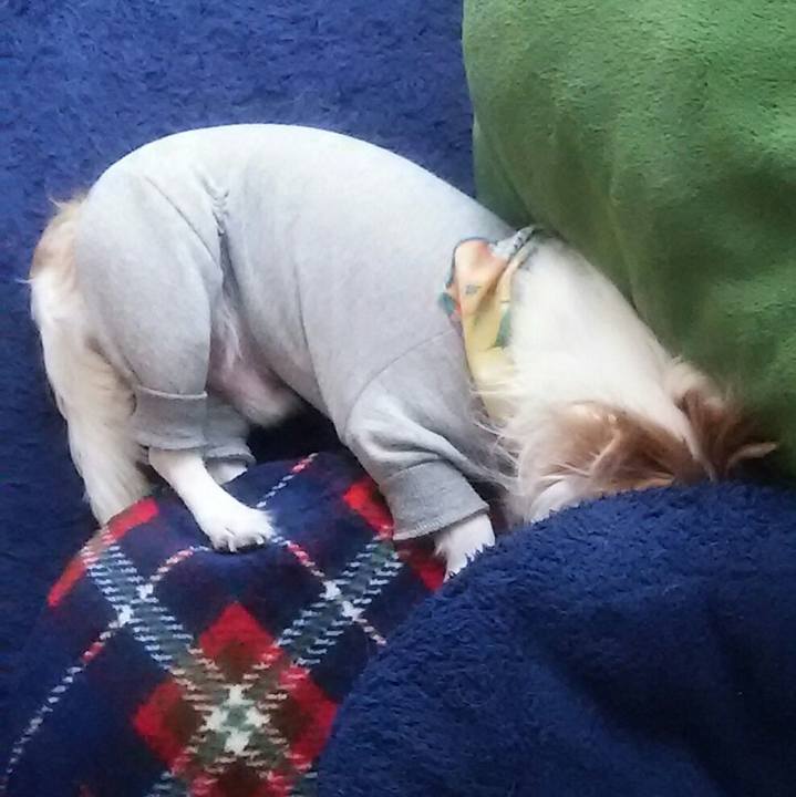 C5aa4984 be51 42f0 9801 ca08fd5b6c54