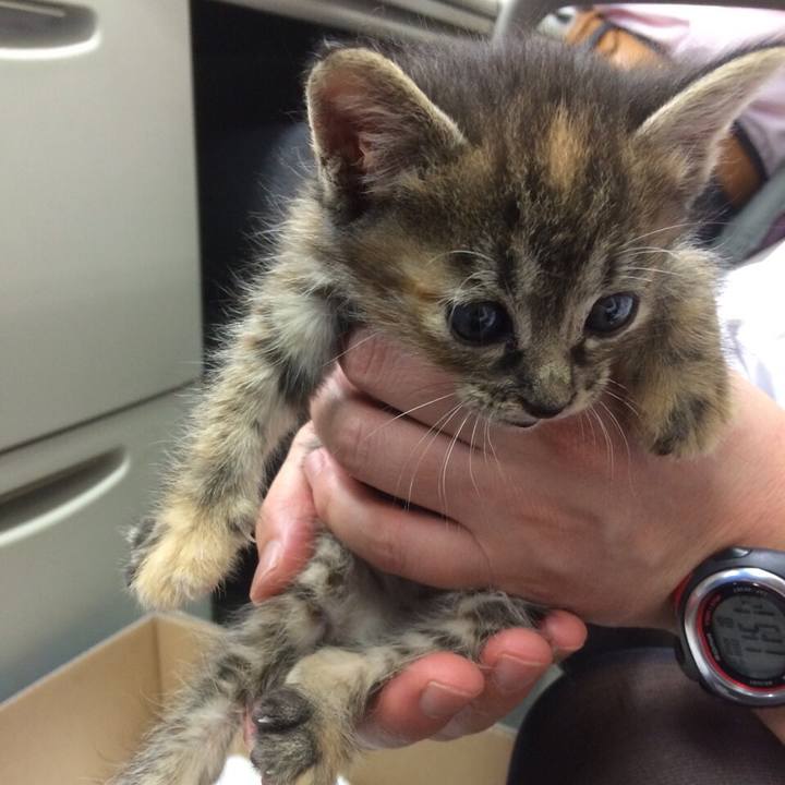 C5aaf5b7 5bfa 4946 a171 999caffecbc4