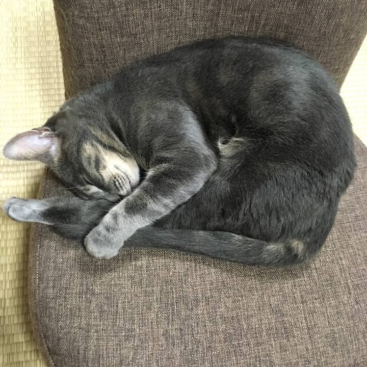 C5aba92b 1623 4712 8c8d 6f2b61ccfb6b