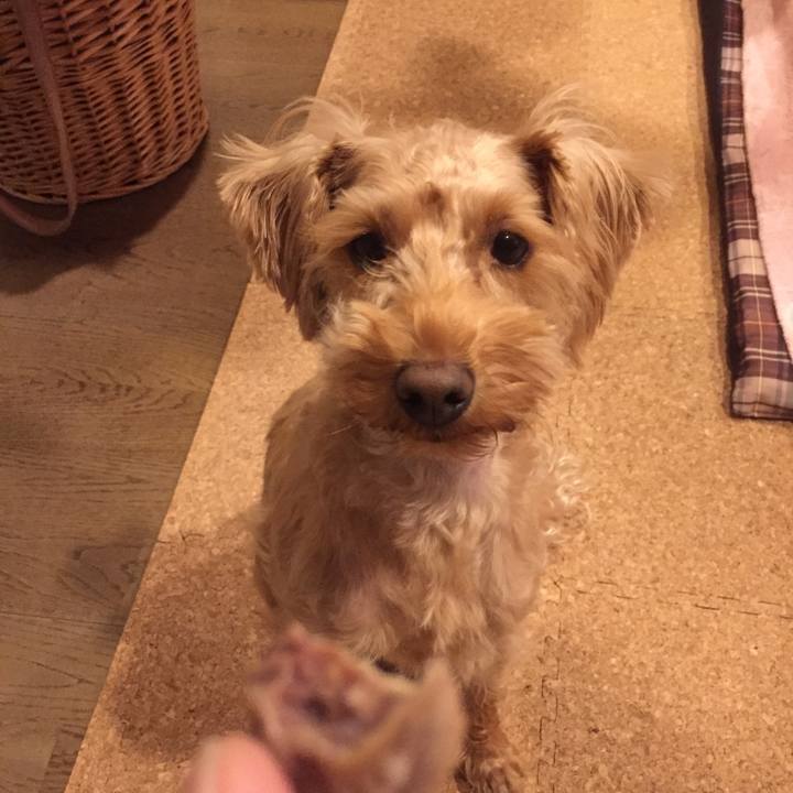 C5abb565 f3c8 43f7 8c1a be2599ed1d4a