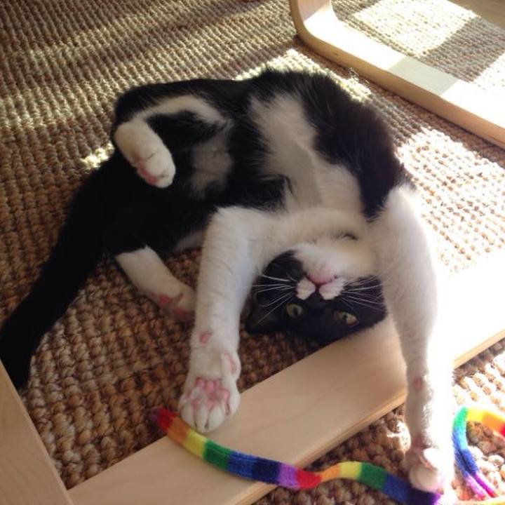 C5abf79b afe3 48fc 8a2a 37ad022a1902