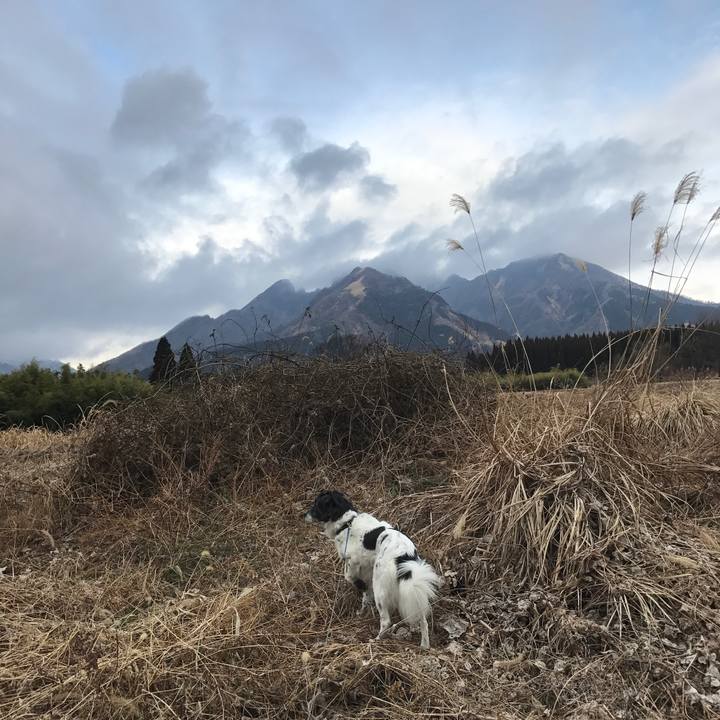 C5ad4dd7 f944 4a73 8433 8e729b1258b3