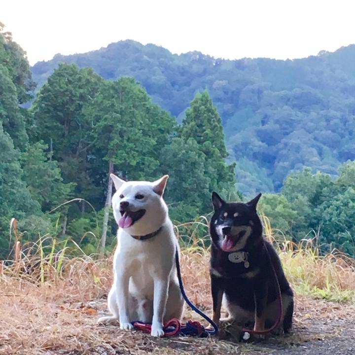 C5ad84e2 3f1a 49f6 abb5 248675fe14e5