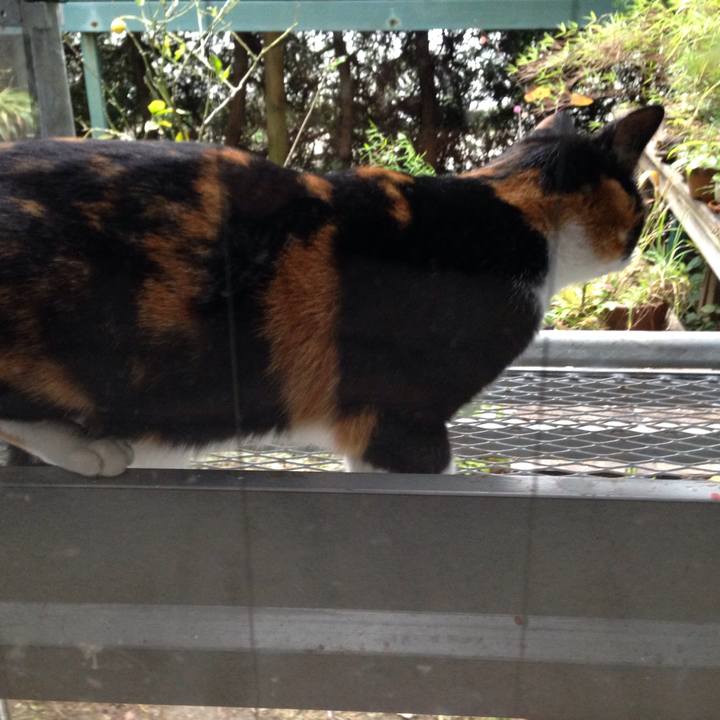 C5adc513 991e 4d17 8b41 30068b561cee