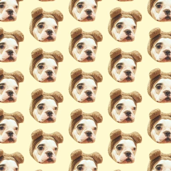 C5ae527d cdf7 4b85 a4f0 b3d43adcbfab