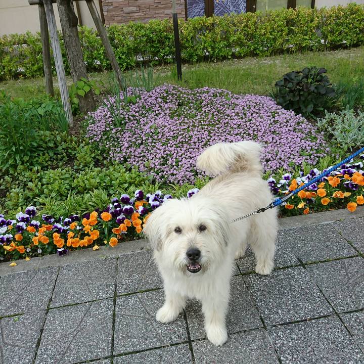 C5aeaeee 3ecf 46f1 8df5 8252be7371a1