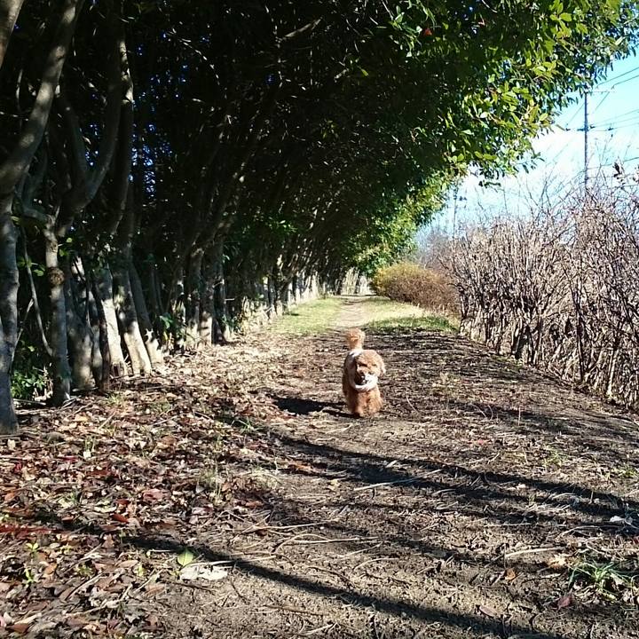 C5af02e1 7d26 4241 8908 6abba189bf57