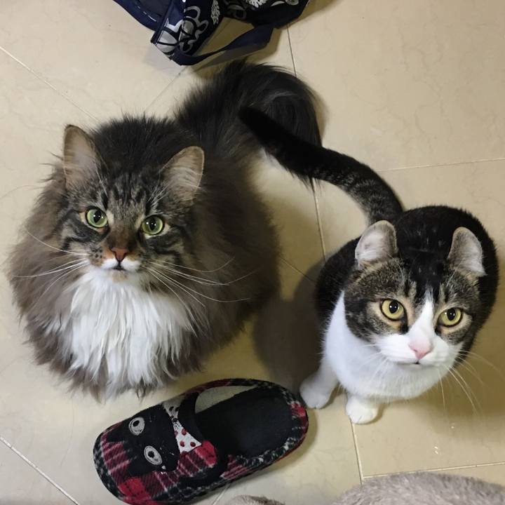 C5af05c0 f681 4214 8db8 d80989fdc52c