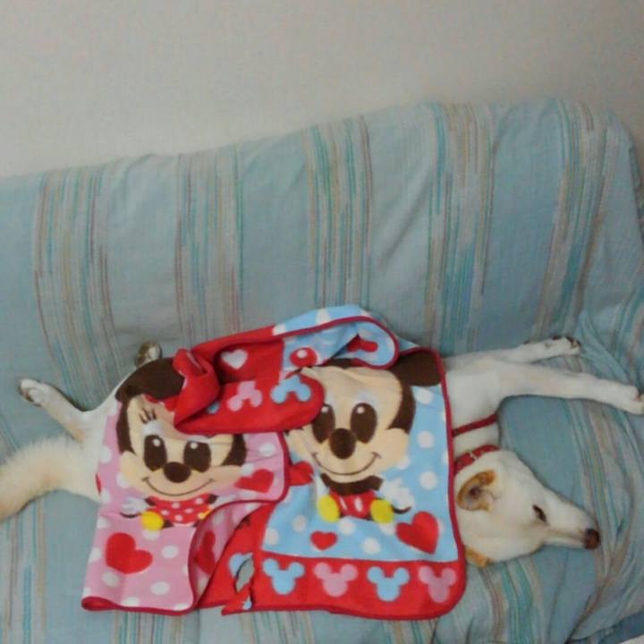 C5af96a9 b03e 44a0 b421 133bb4ba451a