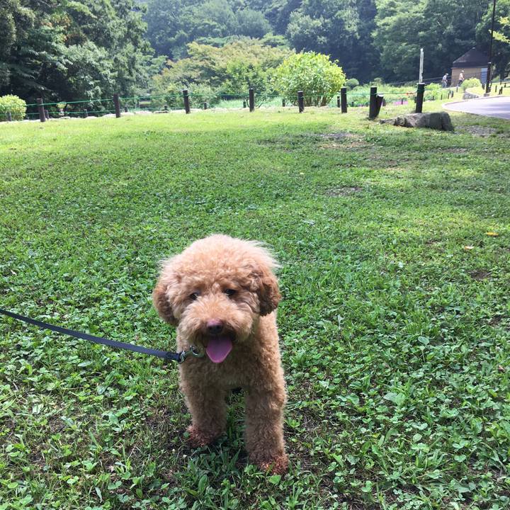 C5b071d4 5c9f 4116 88c7 d79ef43ac1ed