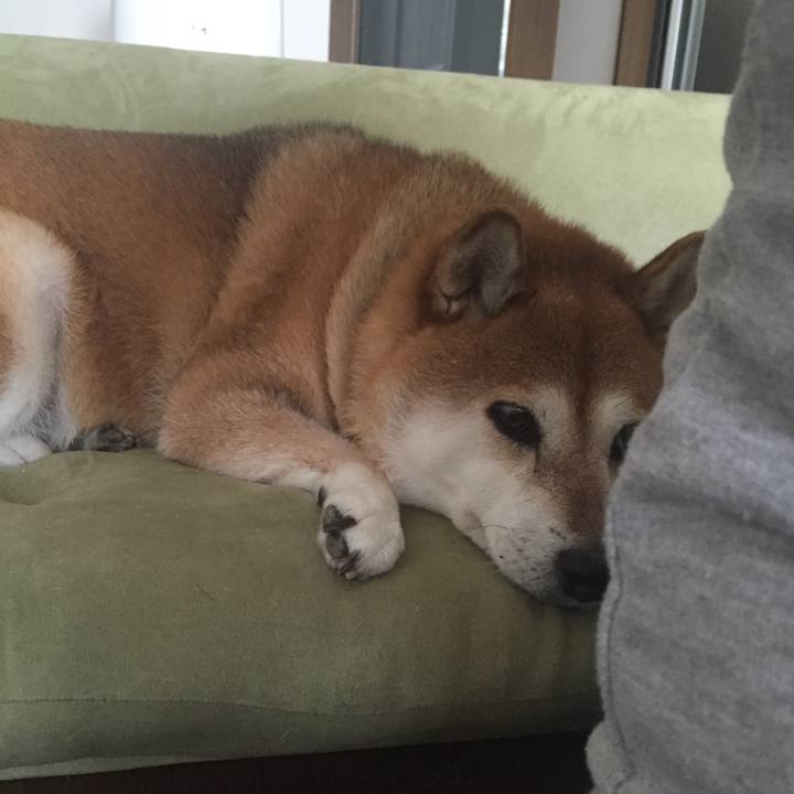 C5b0a1f1 1b85 4d09 af83 3d33042c6f91