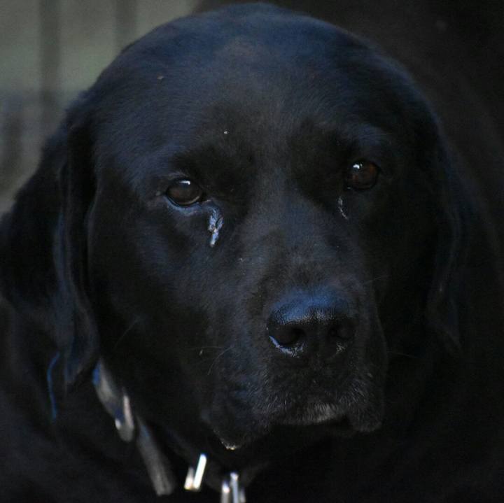 C5b0e4b7 f3c7 4c56 b3a1 01230dc53200