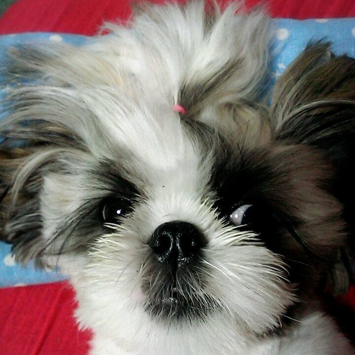 C5b16339 f902 4293 ba74 3c79c4d687a8