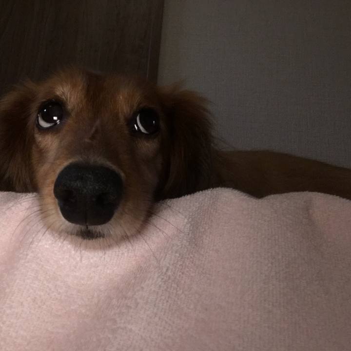 C5b22cba 7fc9 48b0 ad84 0896c002282f