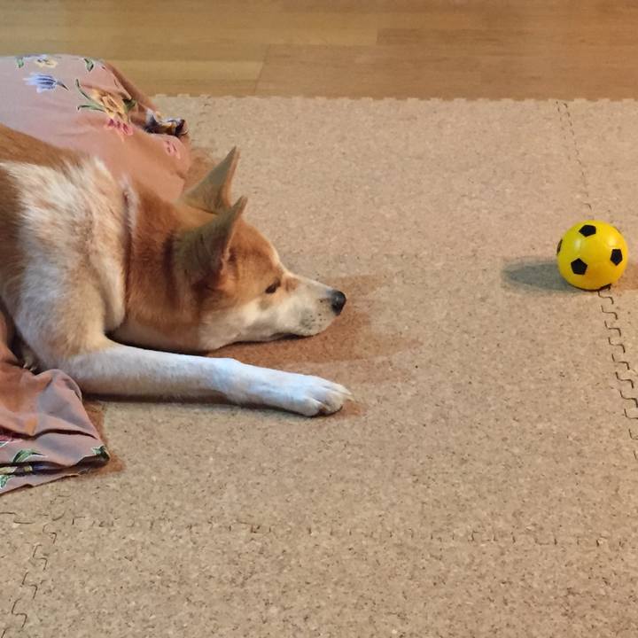 C5b25e68 bf51 44f6 be97 c7f2e87fc88e