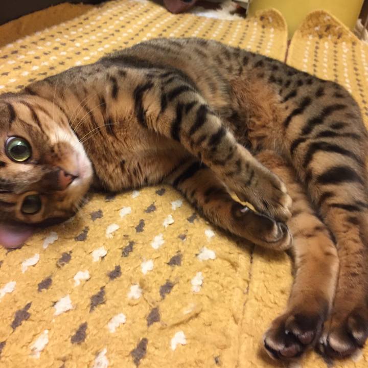 C5b2d253 53a3 4f9c 9549 08aaa05b6801