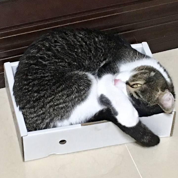 C5b2ec92 8ed0 4155 94bc a92c16e6541c