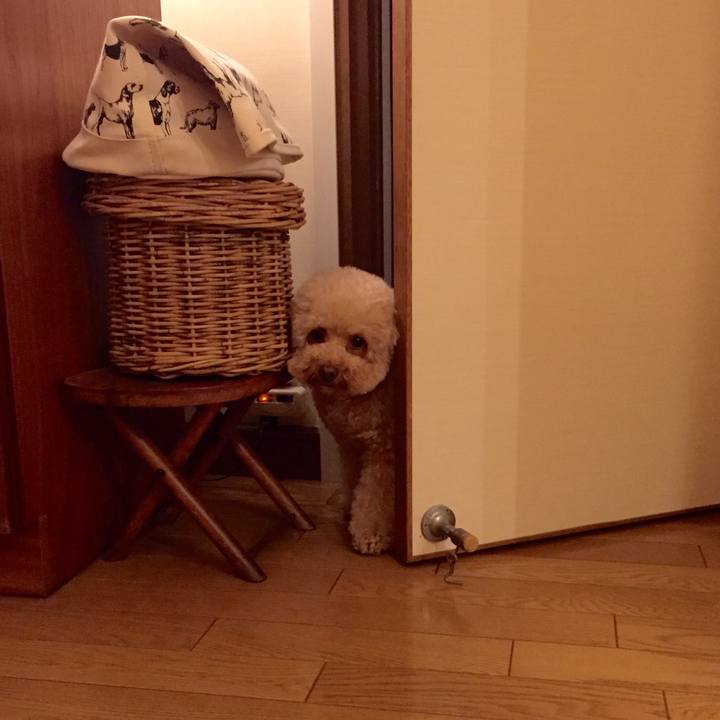 C5b2ee2c 8631 42f2 9a99 a34460a74e58