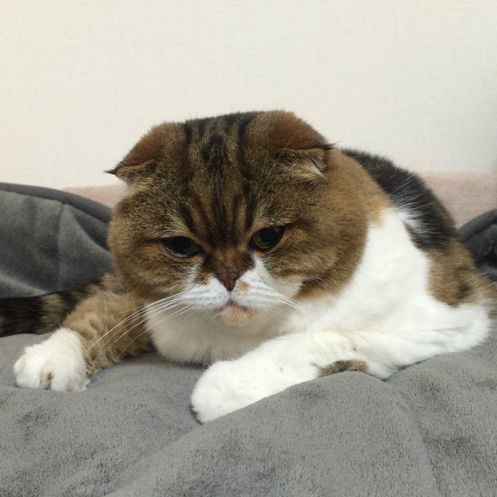 C5b317ca 4cff 448d add6 642248afa947